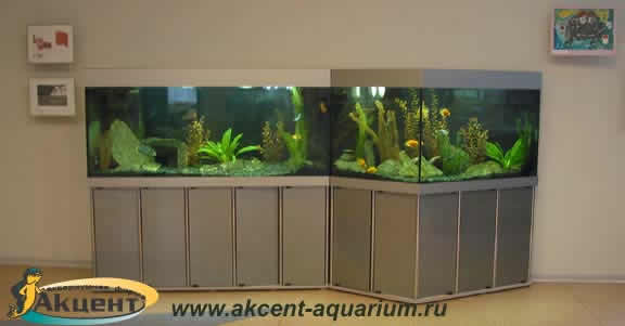 Акцент-Аквариум, аквариум составной сложной формы общий объём 600 литров
